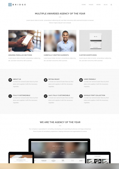 Bridge Biz WP FREEmium Theme Series | Bridge Biz WP-01-1MS-Mini-2 Bridge Biz WP FREEmium Theme Series | Bridge Biz WP-01-1MS-Mini-2