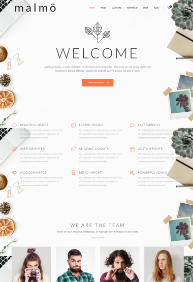 Malmo Agency WP FREEmium Theme Series