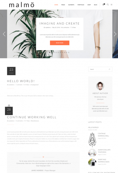 Malmo Blog WP FREEmium Theme Series