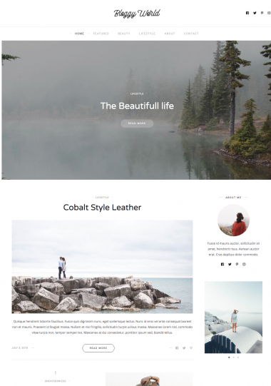 Rima Recent WP FREEmium Theme Series