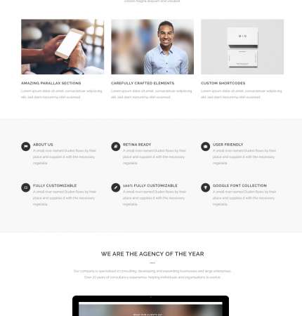 Bridge Biz WP FREEmium Theme Series