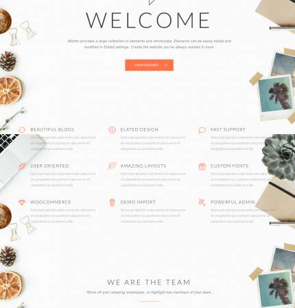 Malmo Agency WP FREEmium Theme Series