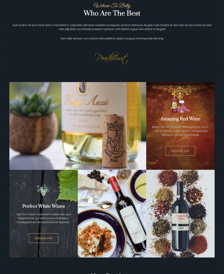 Managed Web Hosting Theme OC-Belly Theme Series