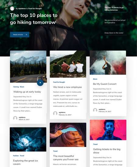 Sal WP FREEmium Theme Series | Sal WP-01-1MS-Mini-2