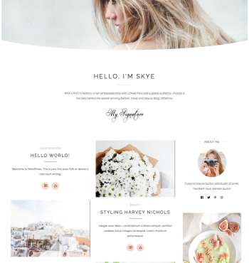 Rima Skye WP FREEmium Theme Series