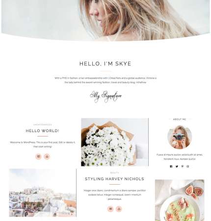 Rima Skye WP FREEmium Theme Series